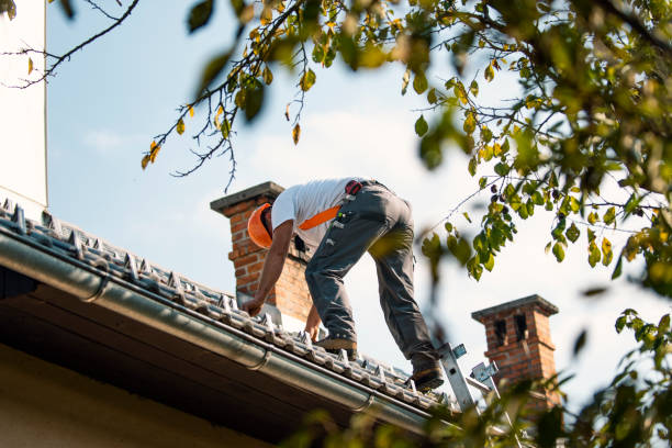 Best Local Roofing Companies  in Marion, IL